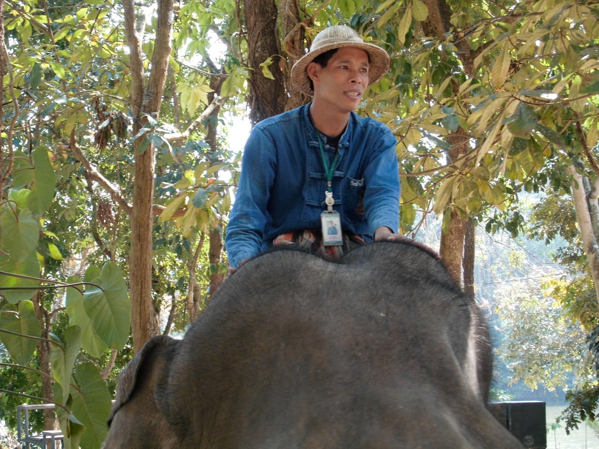 Journal | vier Wochen in Chiang Mai, Nord-Thailand und in Bangkok, 2015