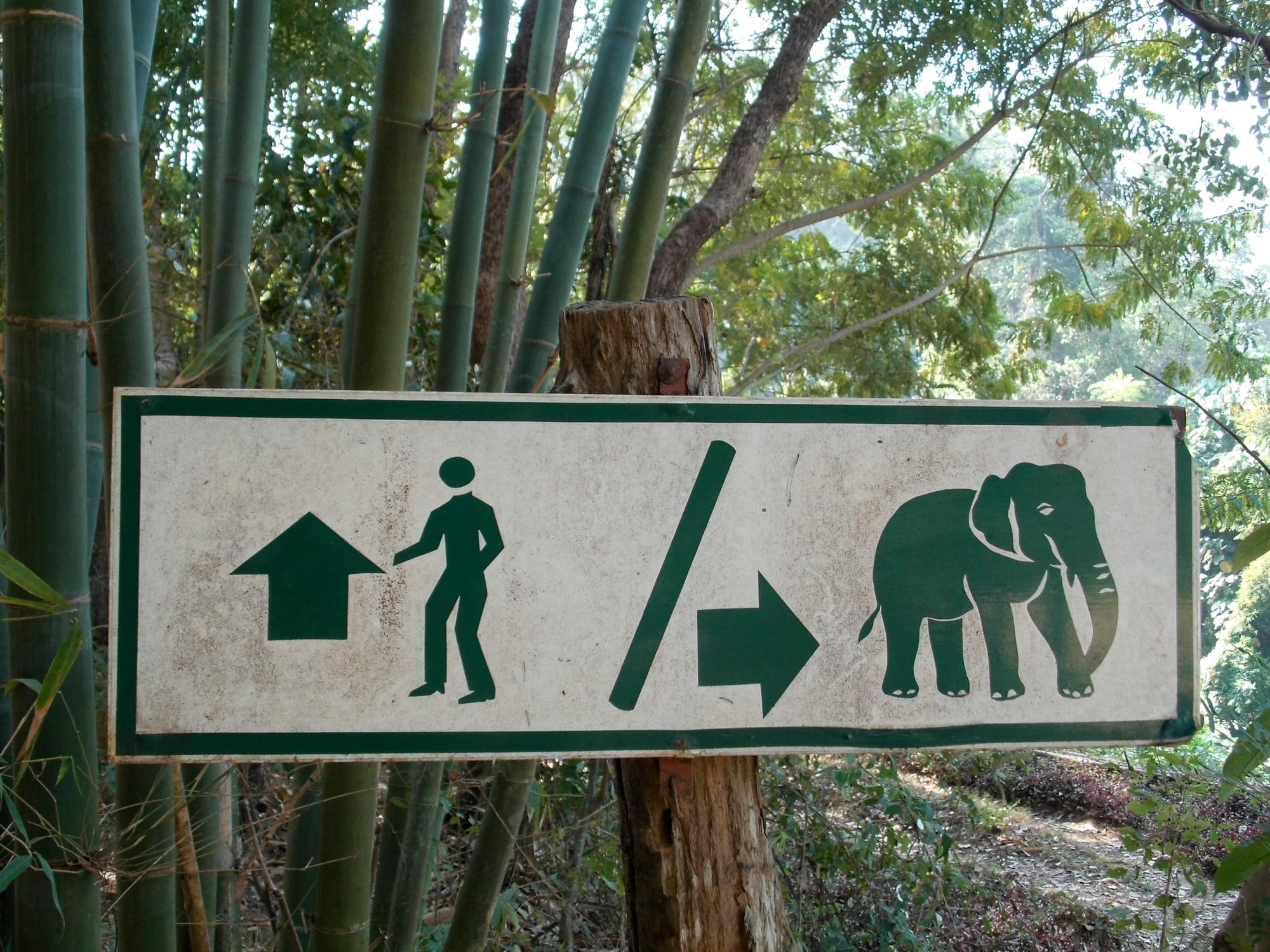 Journal | vier Wochen in Chiang Mai, Nord-Thailand und in Bangkok, 2015