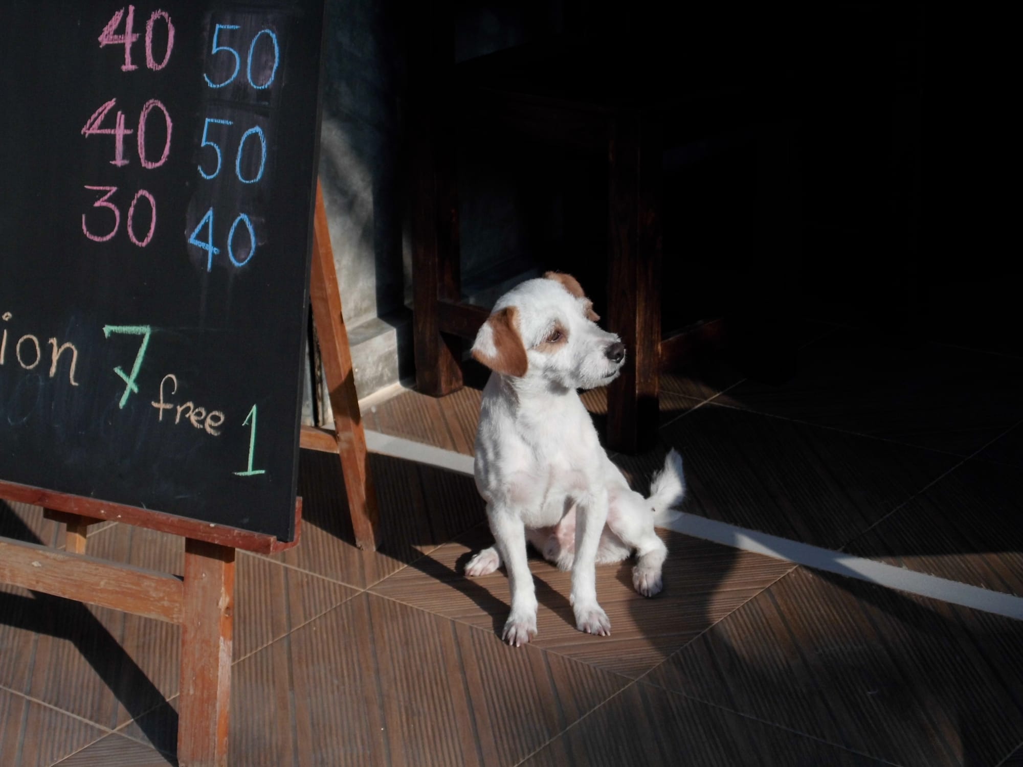 Journal | vier Wochen in Chiang Mai, Nord-Thailand und in Bangkok, 2015